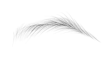 高端渐变眉（线雾）JM-Feather