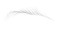 羽黛眉机器 JM-Haute